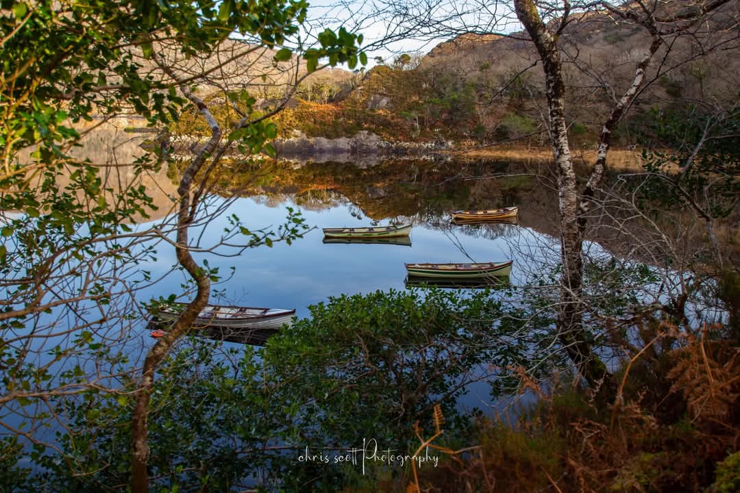 This is Ireland 🇮🇪☘️ (@thisisireland3) on Twitter photo The Killarney Lakes, absolutely beautiful 💚
📍Co. Kerry, Ireland ☘️
📸 Christopher Scott
<a href="/LakeHotel/">Lake Hotel</a> #Killarney #Kerry The Killarney Lakes, absolutely beautiful 💚
📍Co. Kerry, Ireland ☘️
📸 Christopher Scott
<a href="/LakeHotel/">Lake Hotel</a> #Killarney #Kerry