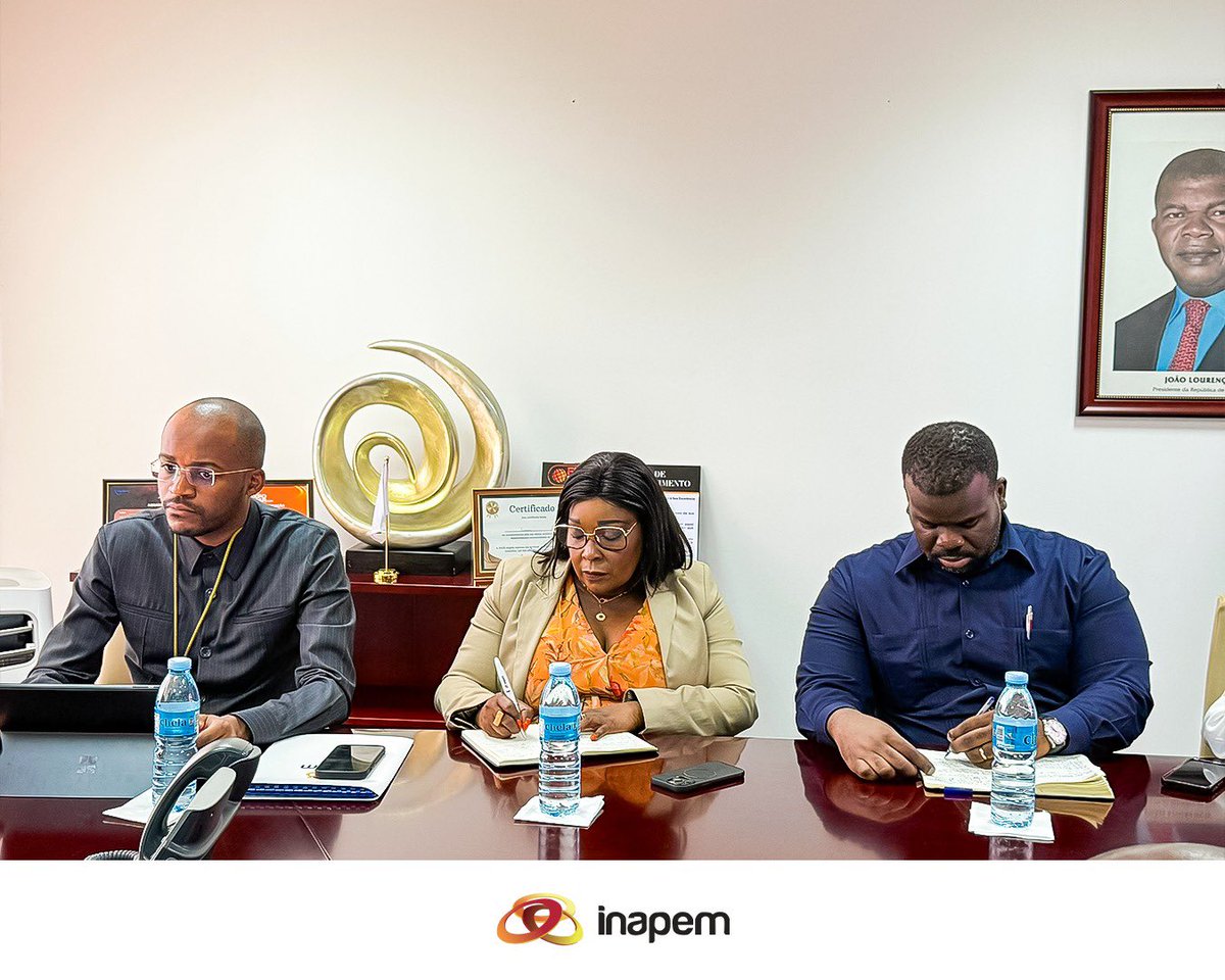 INAPEM tweet media