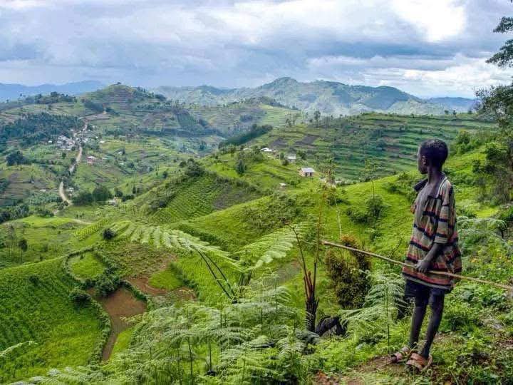 ReformeCd's tweet photo. 🛑#RDC/M23: Les rebelles du #M23-AFC soutenus par l’armée rwandaise se sont retirés du village de #Kagheri et se sont installés à #Kasugho sans combats. Dans le #Lubero, le M23 a quitté #Kagheri jeudi sans affrontements, laissant le contrôle aux troupes ugandaises. https://t.co/tvAqU8EAas