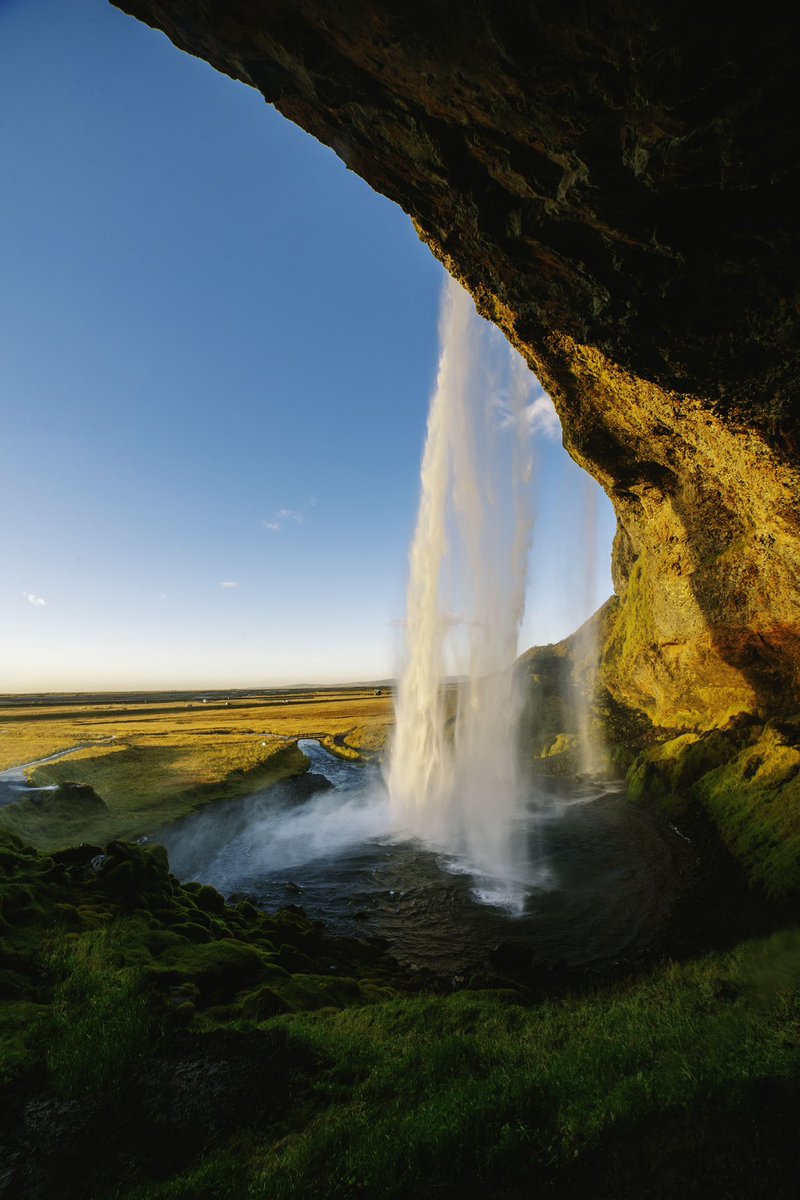 Raff Simons tweet media