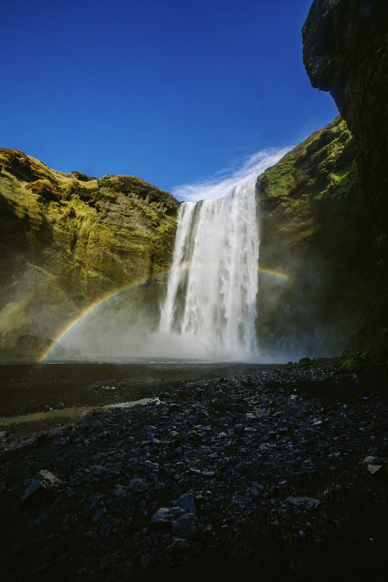 Raff Simons tweet media