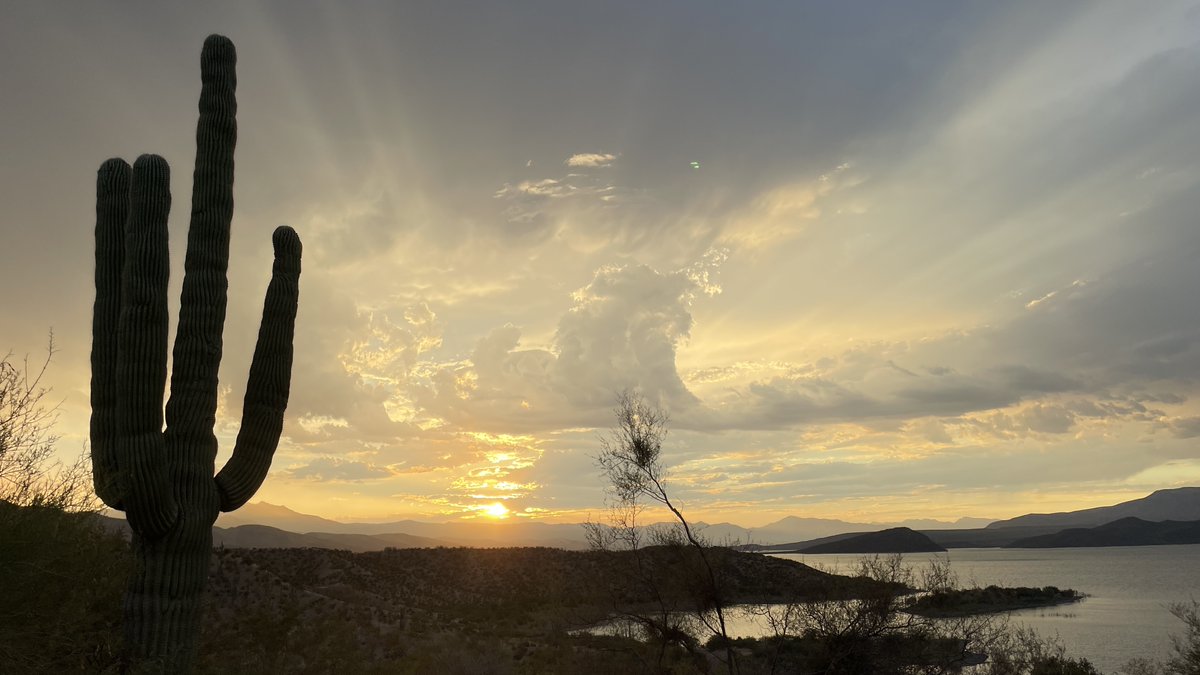 USFWSFire's tweet photo. Fire has always been nature’s way of resetting and renewing - no Wi-Fi required. On National #DayofUnplugging, take a cue from the natural world. Step outside, enjoy the sunshine, and reconnect with what matters most.

#NatureReset

📸 Eric Johnson/FWS https://t.co/T6Ge5jGgO2