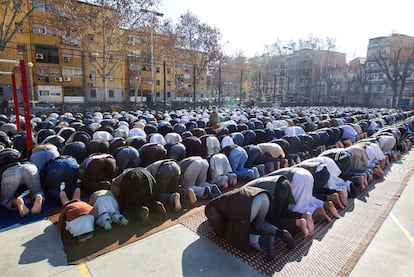 Mirrep 🐑 tweet media