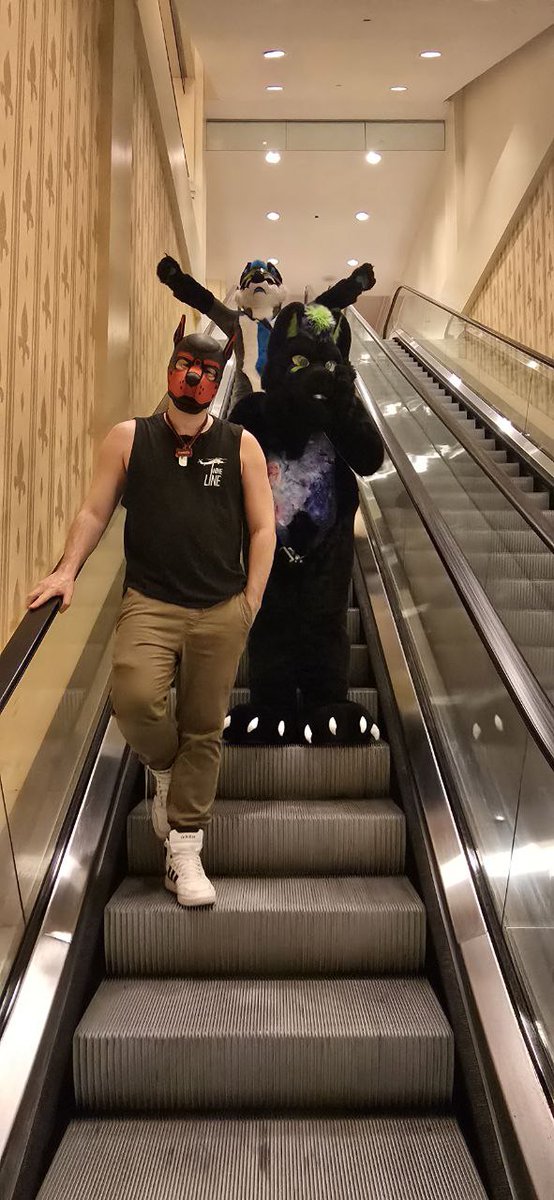 Shadow the Wusky (@shadowthewusky) on Twitter photo This is my favorite picture from Fur²! I love my family so much!
#FURRY #FursuitFriday #fursquared2025 #pup
🔴🐕 <a href="/1MasterC3/">Alpha Tazzer</a>
🔵🐕 <a href="/badg3rbadg3r/">Zeke DaBusky</a>
📷 <a href="/The_PupAstro/">Pup Astro</a> This is my favorite picture from Fur²! I love my family so much!
#FURRY #FursuitFriday #fursquared2025 #pup
🔴🐕 <a href="/1MasterC3/">Alpha Tazzer</a>
🔵🐕 <a href="/badg3rbadg3r/">Zeke DaBusky</a>
📷 <a href="/The_PupAstro/">Pup Astro</a>