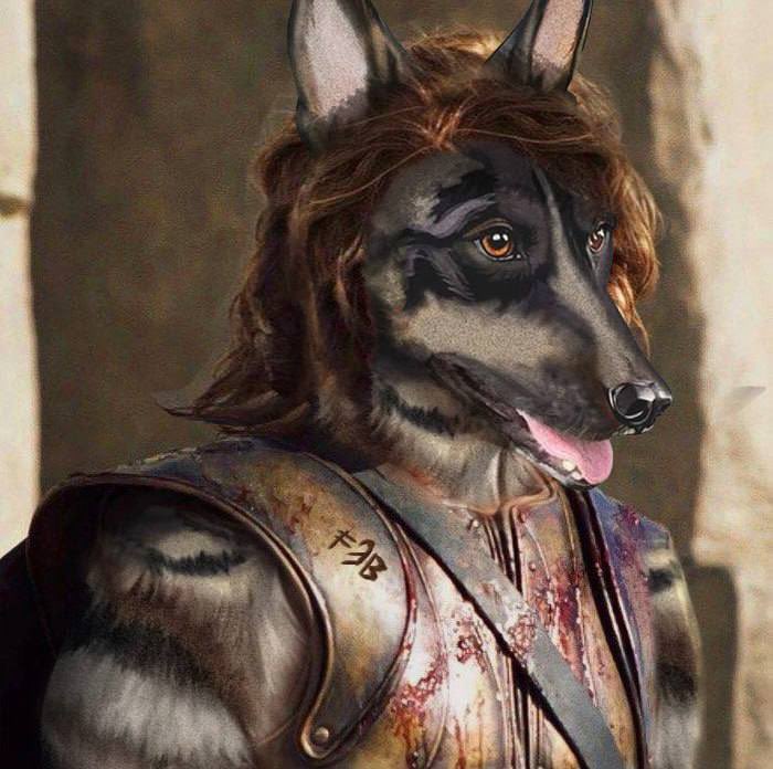 FirstBroccoli's tweet image. Not all heroes wear capes—some wield Broccoli.