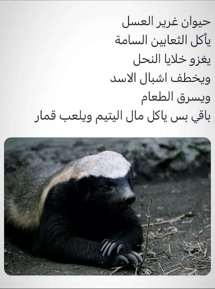 Plug (@plug_09) on Twitter photo 