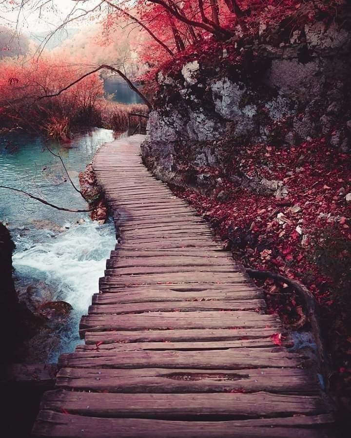 Cafer26111's tweet photo. İnsanın hükmü bir buçuk nesildir.
 Çocukları bir, torunları buçuk.
Sonra unutulur gidersin....

Yani o kadar yaygaraya gerek yok.
Yaşadığın kadar hatırlanırsın... https://t.co/ViOnRIRw00