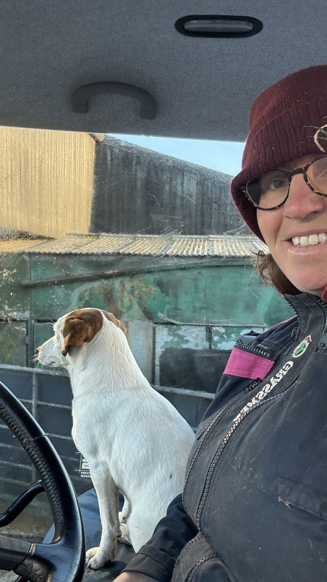 Trenance Dairy tweet media