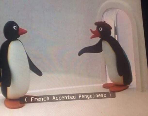 twaniimals's tweet image. 