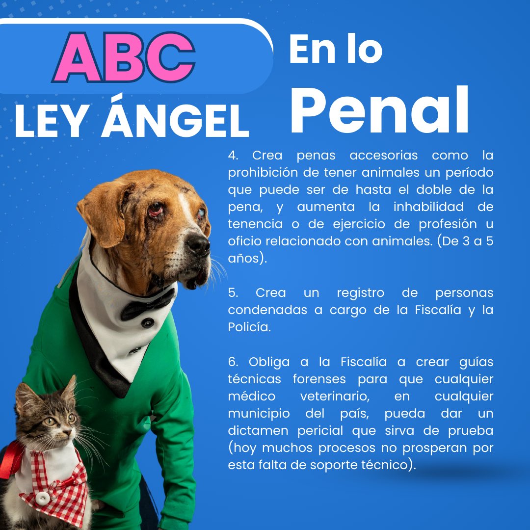 AsociacionMi's tweet photo. ABC Ley Ángel 💙🩷 @andreanimalidad https://t.co/gYzwCpFB9t