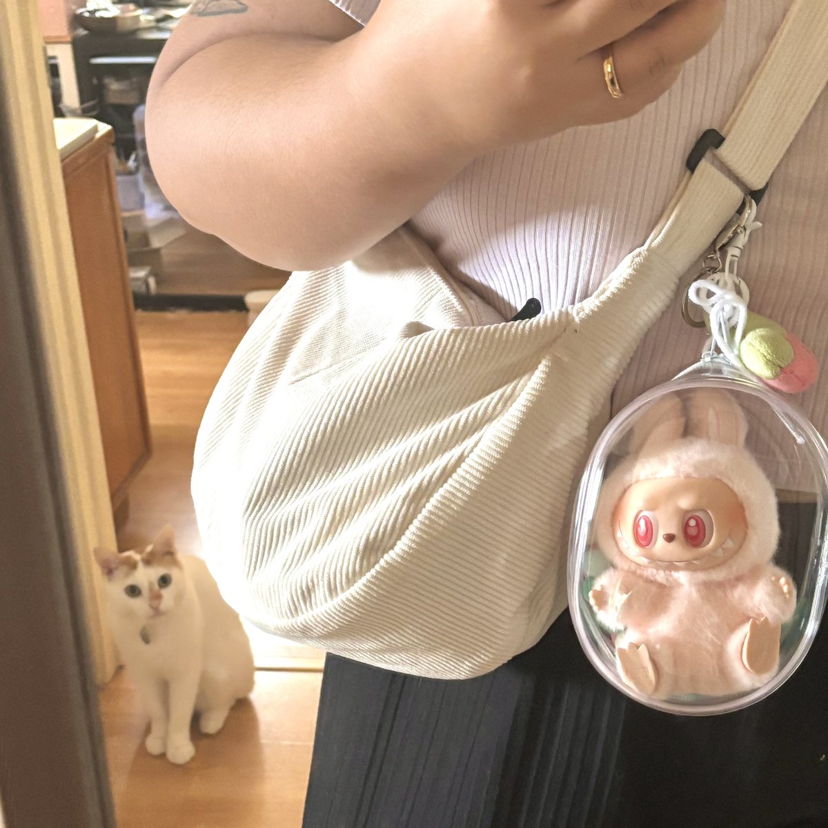 my labubu jail arrived