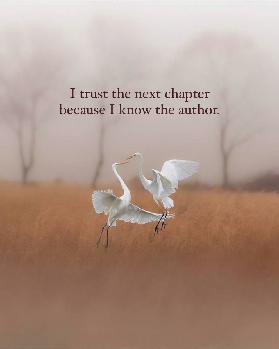 Mind Essentials (@mind_essentials) on Twitter photo 