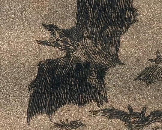 TheCinesthetic's tweet image. What We Do in the Shadows (2014) dirs. Taika Waititi and Jemaine Clement