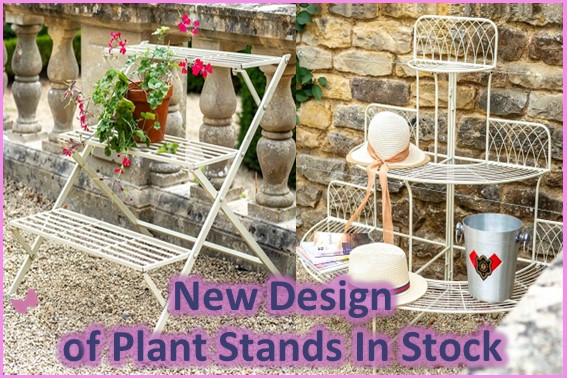 TheGardenFactor's tweet photo. Abercorn Plant &amp; Garden Centre - New Website Discount - https://t.co/0Y0hf0Y2Rt https://t.co/ezBgmLvYGU