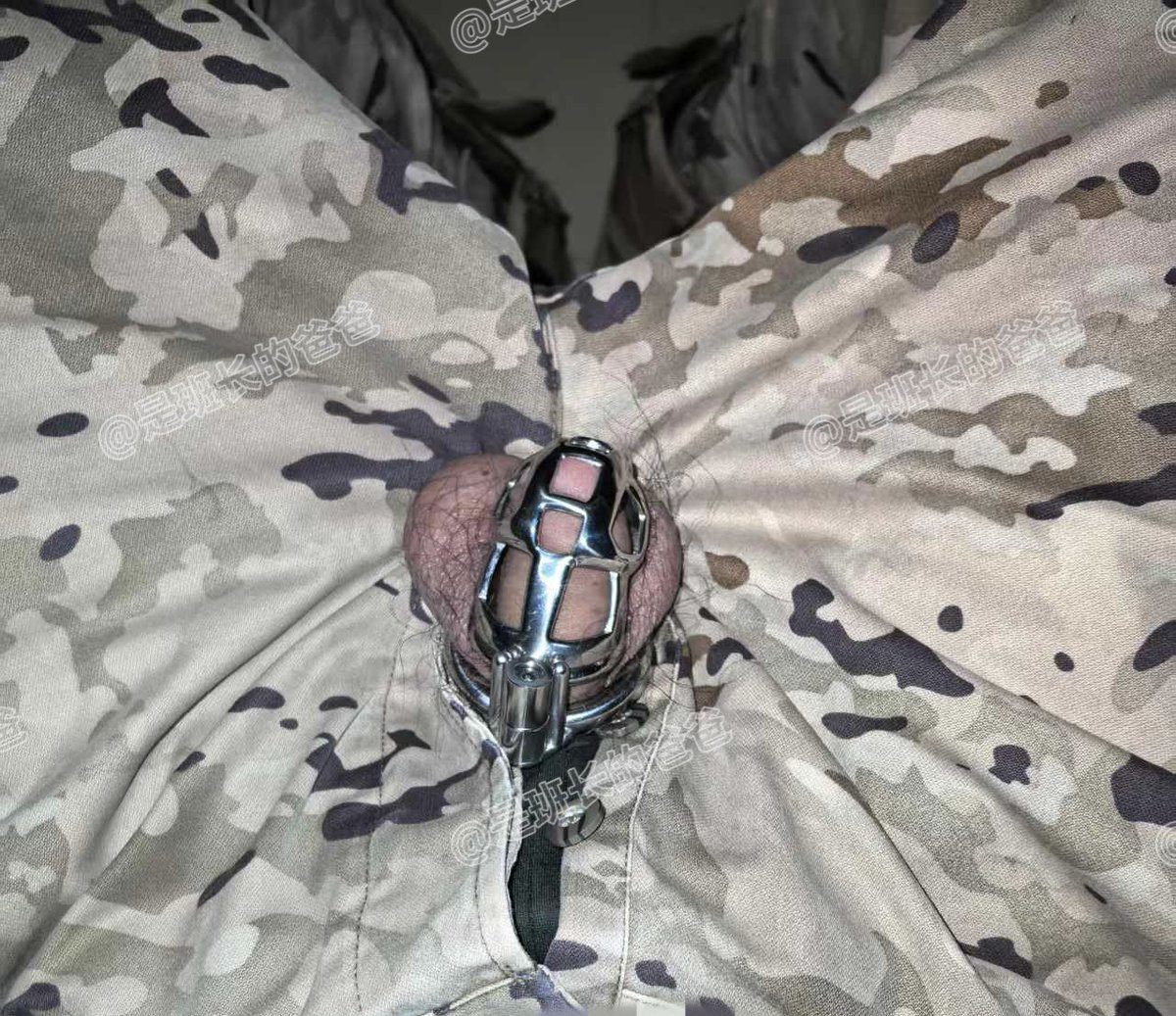 是班长的爸爸 tweet media