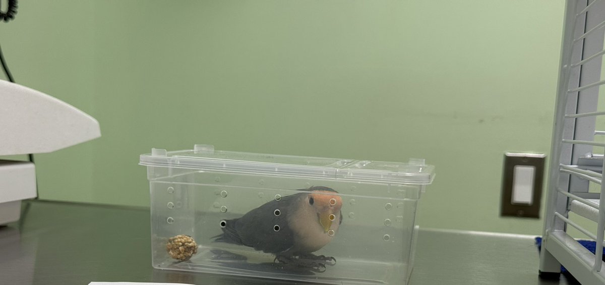 Llama📛🐝 tweet media