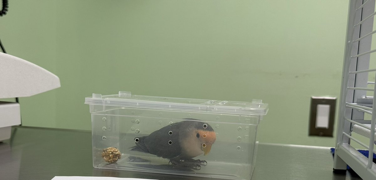 Llama📛🐝 tweet media