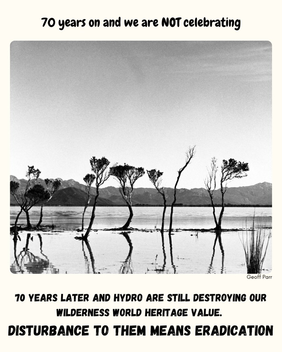 RestorePedder tweet media