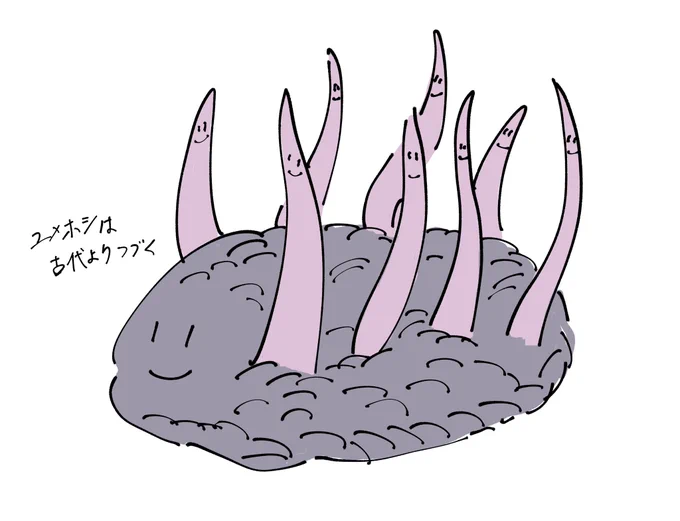 ウィワクシアユメホシドラゴン 