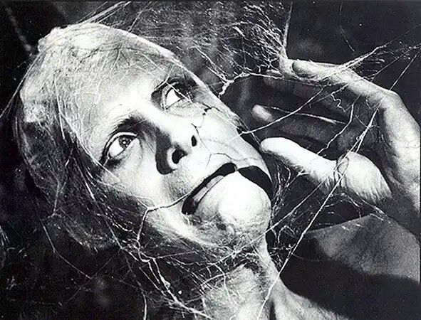 HPL_JDeLaughter's tweet photo. 🕸️🕷️Help! Help me!🎨Art: Kris Kuksi🕸️🕷️#Lovecraftian #DavidHedison #VincentPrice #TheFly #Monster #Spider #Scifi https://t.co/6eZqblhhjm