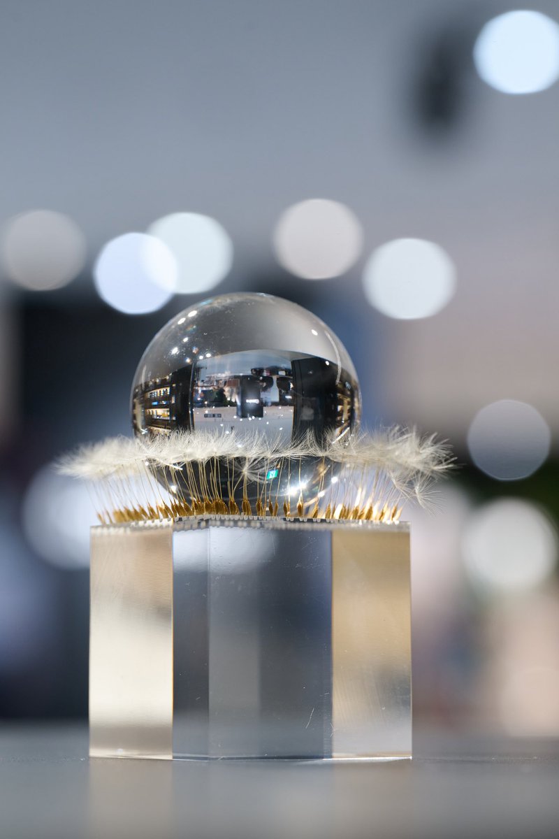 満月の拾いかた