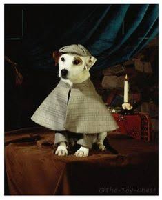 CripToeCrips's tweet photo. @MetaMollyK Wow… 

Is this dog ur type? https://t.co/t4jNPPA2s6