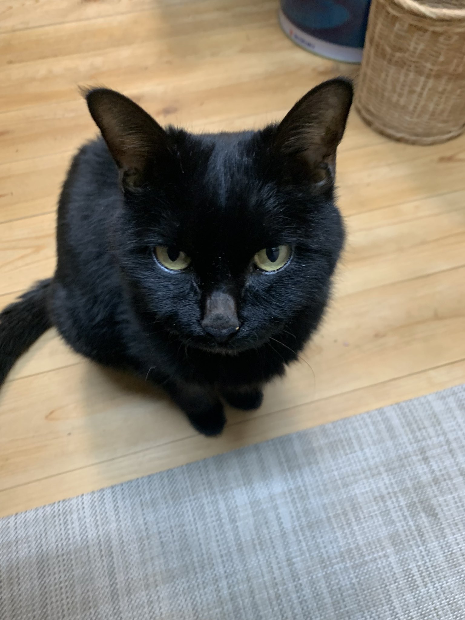黒猫 Amazon | UDF ウルトラディテールフィギュア No.419 ディック