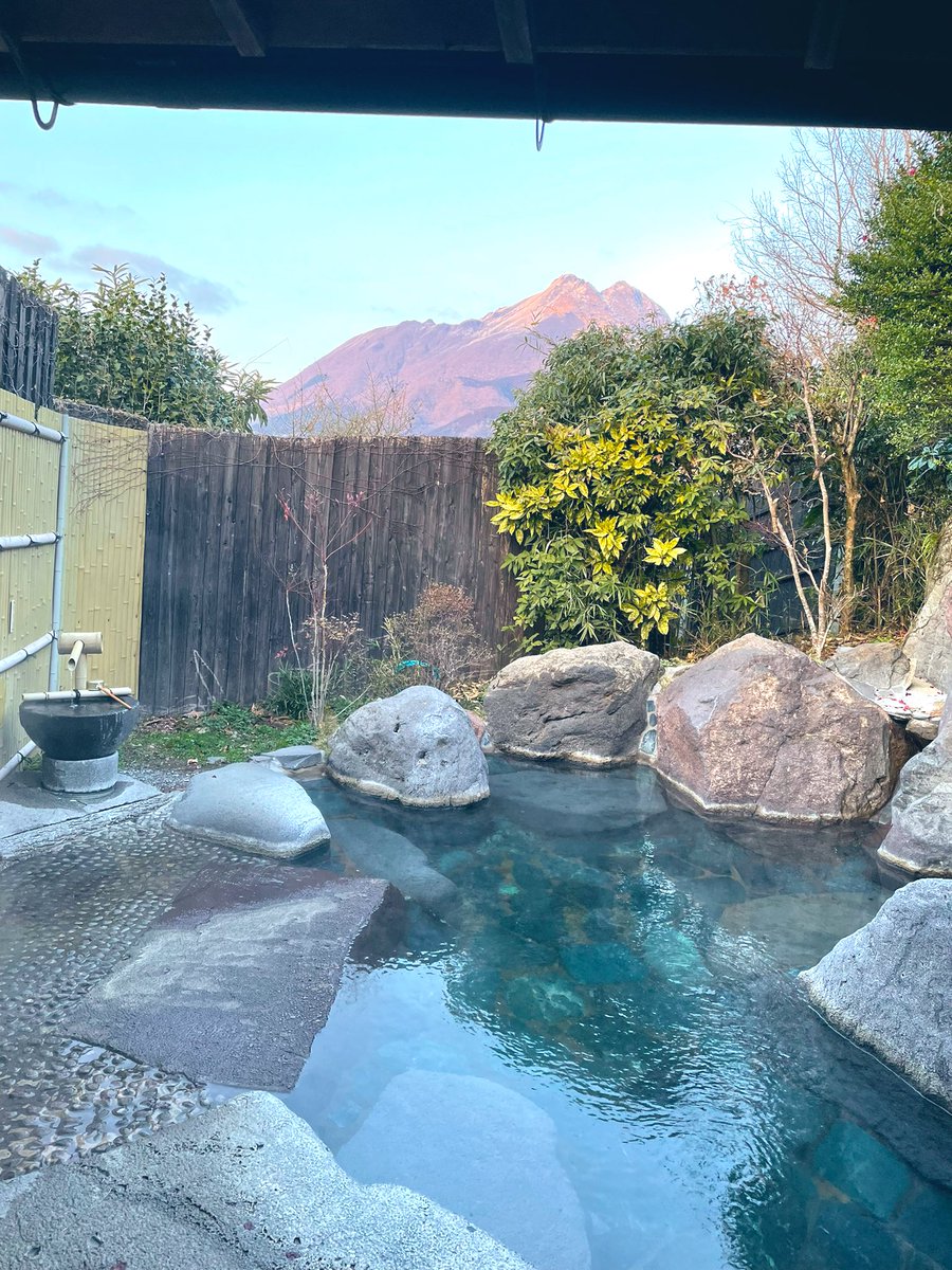 Laura Shigihara (鴫原ローラ ) 🍰🧋 tweet media