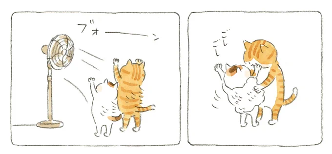 お風呂からあがったよ 
#トラとミケ 