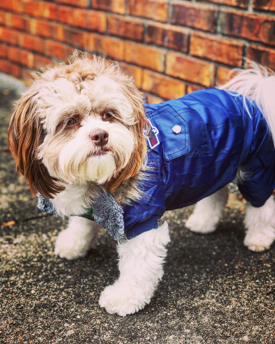 Anne Kelley tweet media