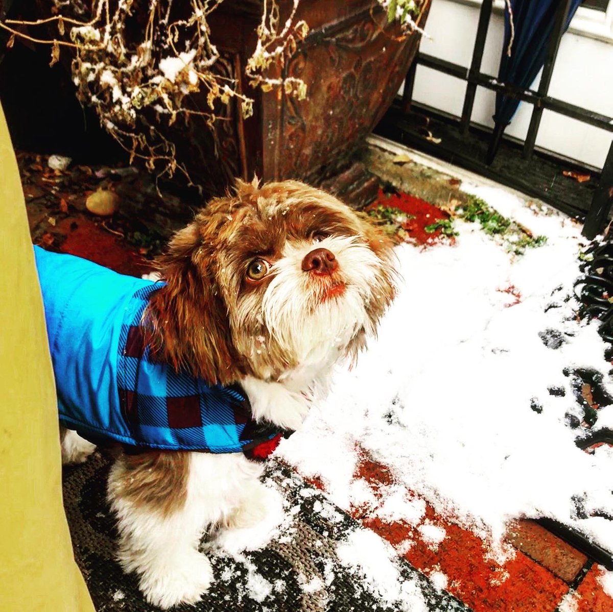 Anne Kelley tweet media