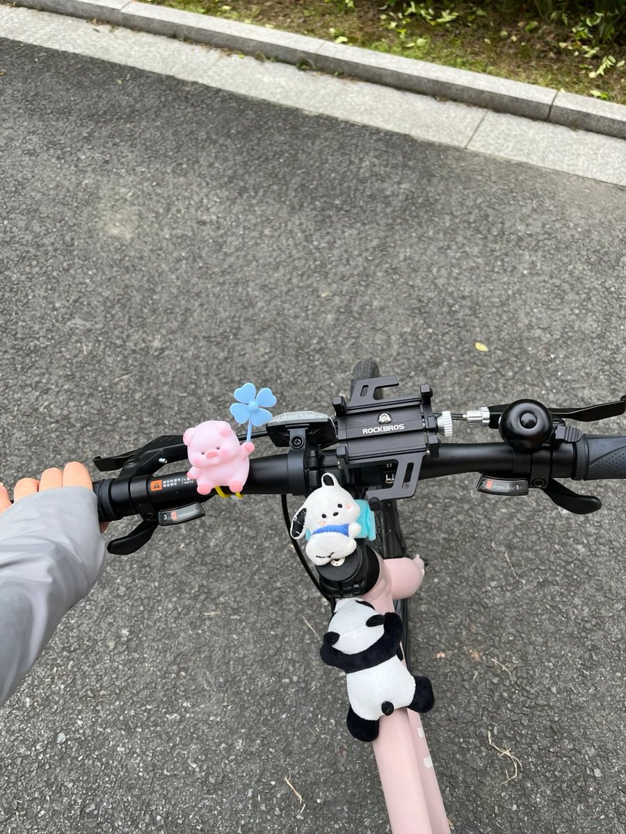 AnneLee_WA's tweet photo. Recent riding records🚲 https://t.co/tdGmfjfjz7