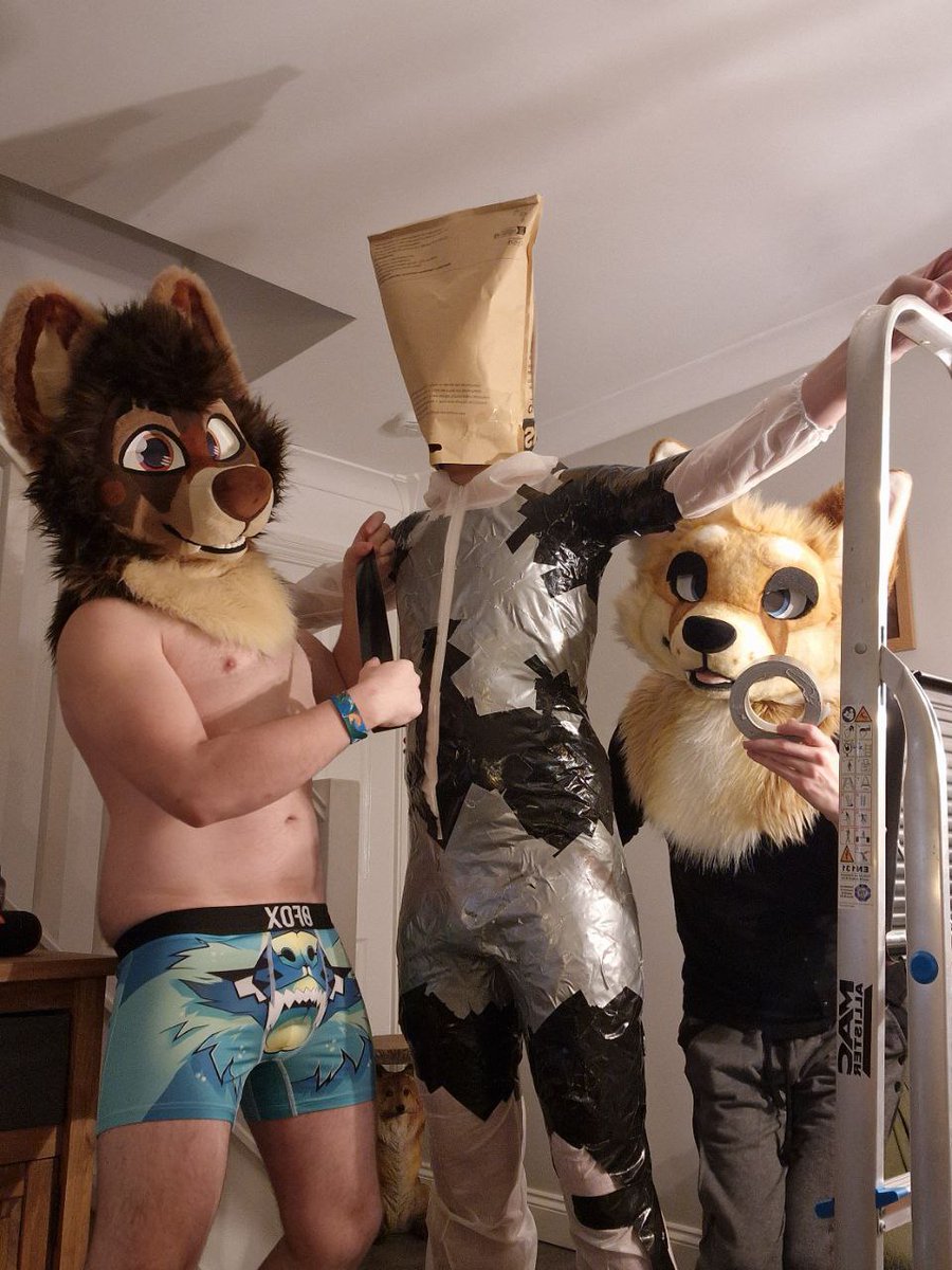 Tibble the Fox tweet media