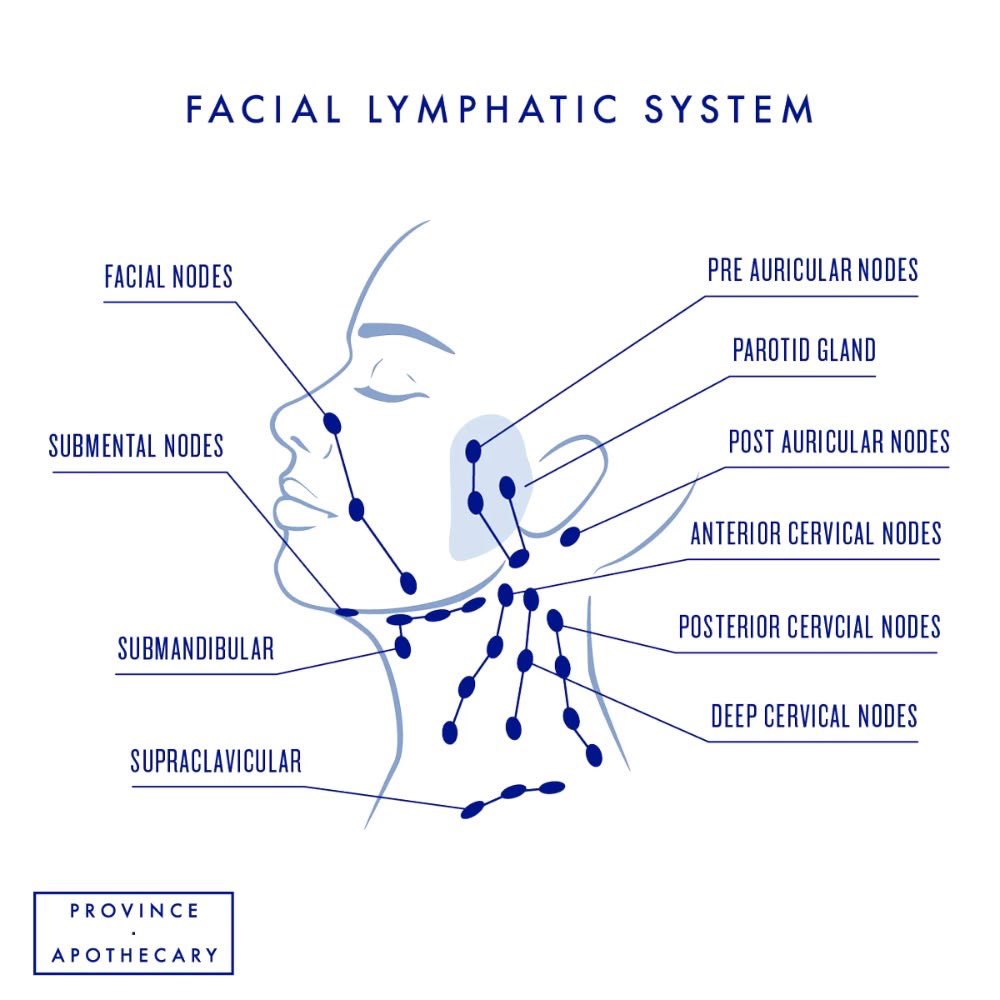 airwreckauraaa's tweet photo. I have been so obsessed with my face and skin, and attending to my lymphatic system in my body, which is more than just the face😭🤫 https://t.co/8WPwFolbGX
