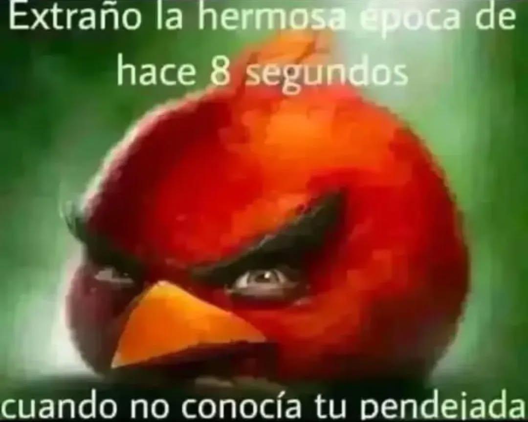 m (@mattlovescooper) on Twitter photo 