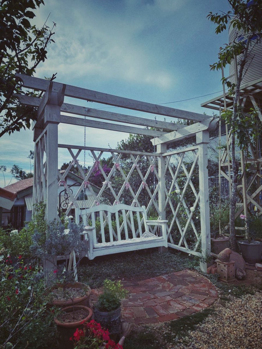 QUILIX 🇻🇳🐉 tweet media