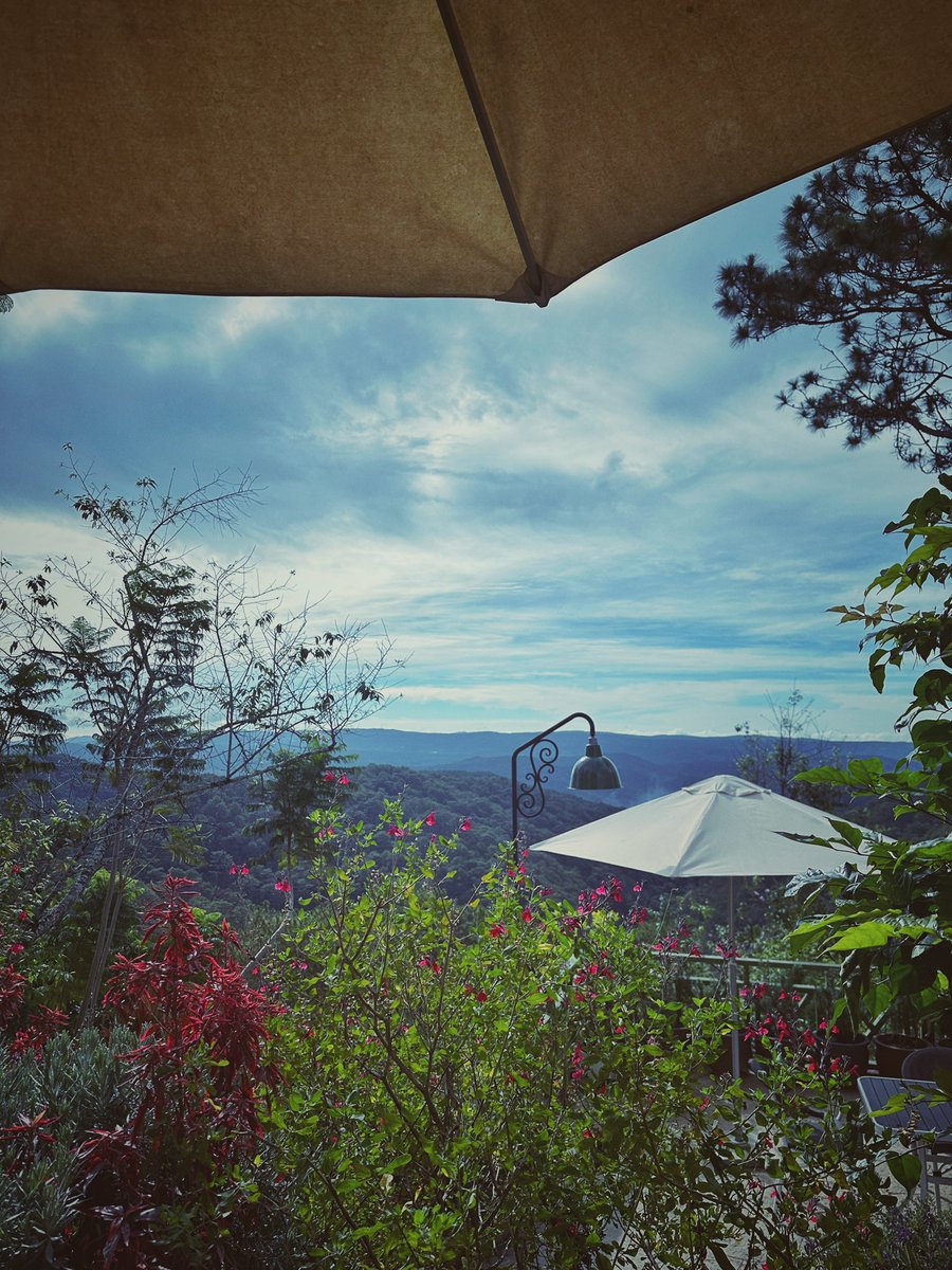 QUILIX 🇻🇳🐉 tweet media