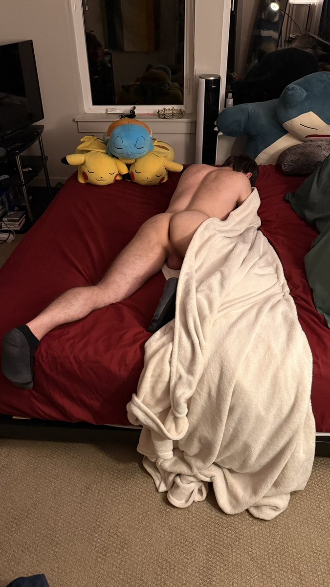 ApolloSeattle's tweet photo. Sleepy time https://t.co/OBaYbz912j