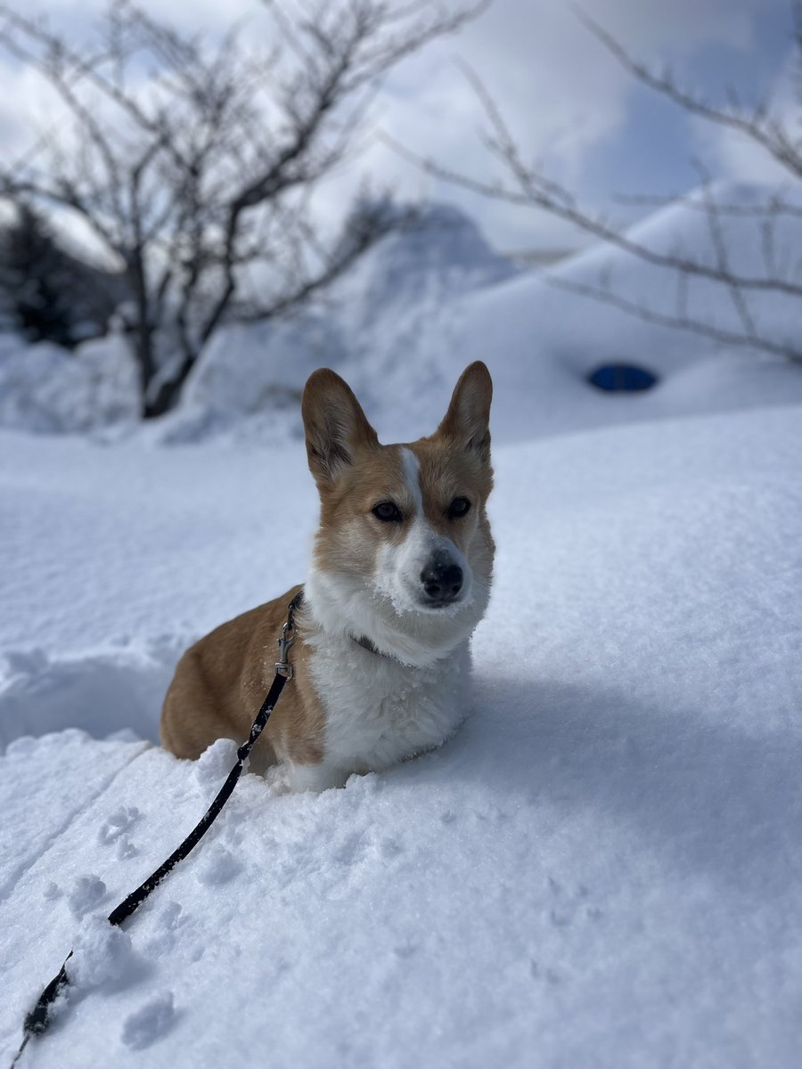 -1℃