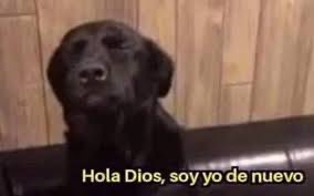 Mica_Sant's tweet photo. Yo y todos los que quedamos traumados por la tormenta de 2023
#Tormenta https://t.co/gd49ol9awN