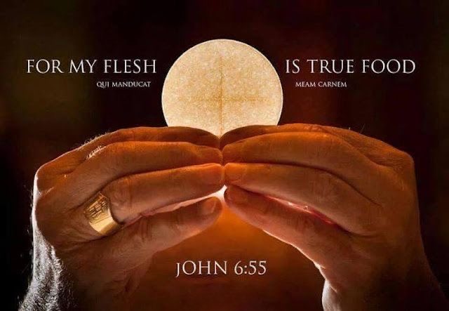 HolySoulSociety's tweet photo. Whatever translation of the Holy Bible you read, EVERY single translation of JOHN 6: 53-54 preaches His TRUTH! 🕊️

Jesus is NOT speaking to us metaphorically, symbolically or memorially.  

TRULY: meaning; TRUTH - it’s real, to take seriously. 

AMEN: meaning; “truly," "so be it," or "it is so," expressing agreement, confirmation, what has been said to be true. 

VERILY: meaning; TRUTH, truly, certainly - it is TRUE. 

New International Version:
Jesus said to them, "Very truly I tell you, unless you eat the flesh of the Son of Man and drink his blood, you have no life in you.

New Living Translation:
So Jesus said again, "I tell you the truth, unless you eat the flesh of the Son of Man and drink his blood, you cannot have eternal life within you.

English Standard Version:
So Jesus said to them, "Truly, truly, I say to you, unless you eat the flesh of the Son of Man and drink his blood, you have no life in you. 

King James Bible:
Then Jesus said unto them, Verily, verily, I say unto you, Except ye eat the flesh of the Son of man, and drink his blood, ye have no life in you.

New King James Version:
Then Jesus said to them, "Most assuredly, I say to you, unless you eat the flesh of the Son of Man and drink His blood, you have no life in you.

Revised Standard Version Catholic Edition:
So Jesus said to them, “Truly, truly, I say to you, unless you eat the flesh of the Son of man and drink his blood, you have no life in you; he who eats my flesh and drinks my blood has eternal life, and I will raise him up at the last day. 

THE EUCHARIST: the TRUE body, blood, soul and divinity of our Lord, Jesus Christ. 

#TheTruth #TheEucharist #CatholicChurch #Catholicism #Christian #Christianity #Scripture