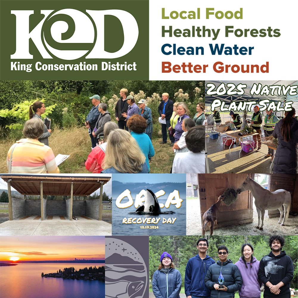 KCD March News and Highlights - mailchi.mp/kingcd.org/oct…