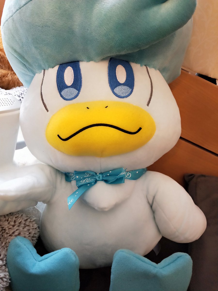 pokemo658's tweet photo. かわいい https://t.co/wu576TVAJ1
