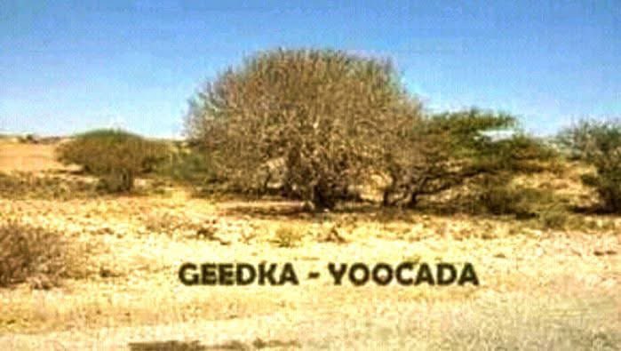 warsamohamed84's tweet photo. Xadka Jamhuriyada Somaliland la leedahay #FailedStateofSomalia Waa #Yoocada.
Waajibkuna dowlada Somaliland ayu saaranyahay iney so xidho Xaadkaas.
Insha allah waa laa gaadhii doonaa. https://t.co/jZwlYYpphl