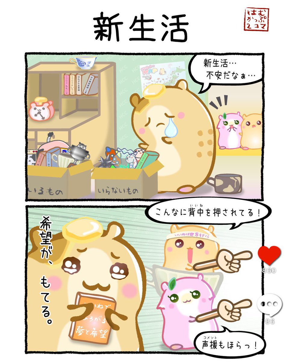HamCup86's tweet photo. コメント86人くれるかな？🥹 https://t.co/9TtbdNd69a