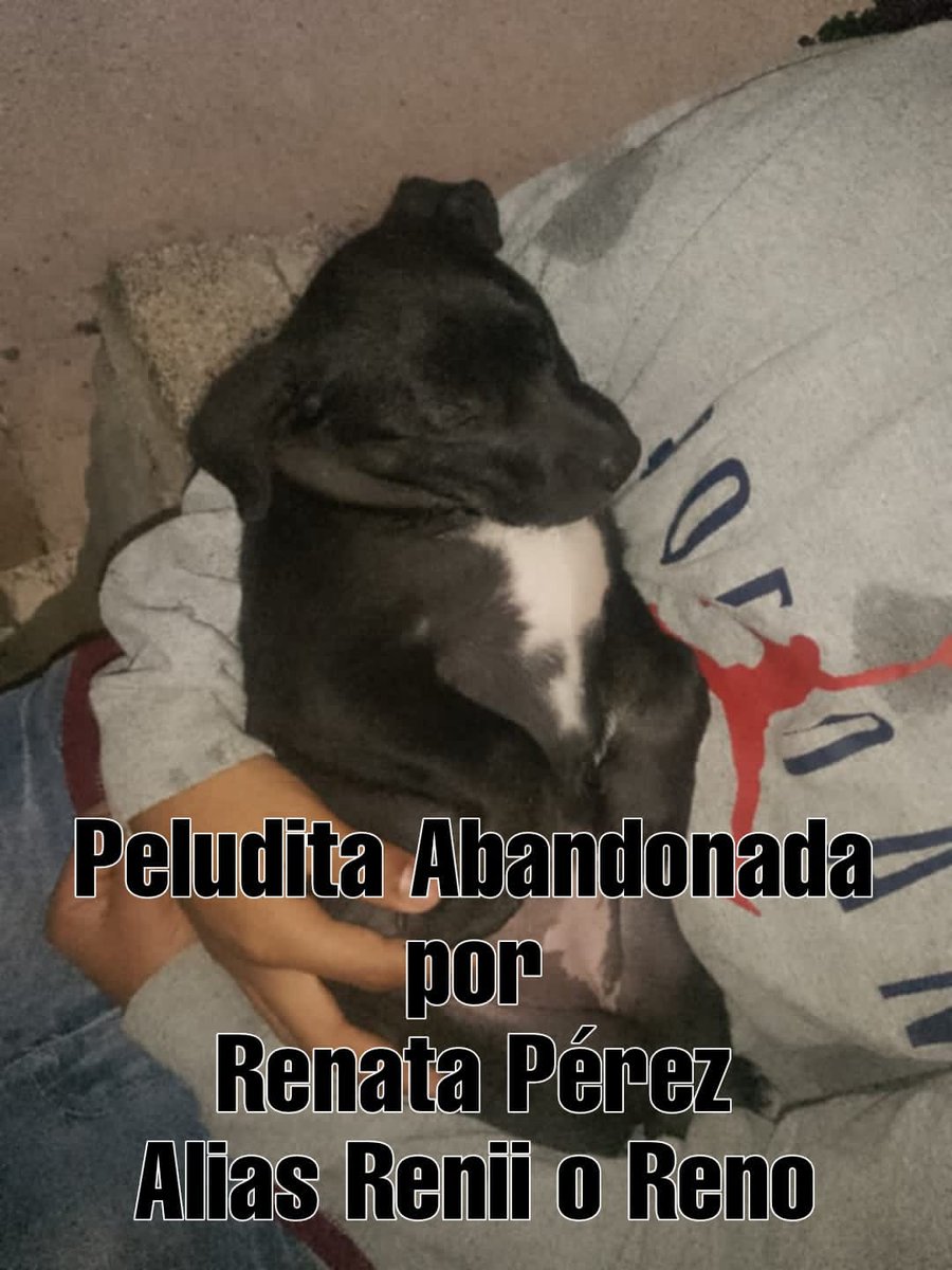 U.P.A.L (UNIÓN PRO ANIMAL LIBRE) tweet media