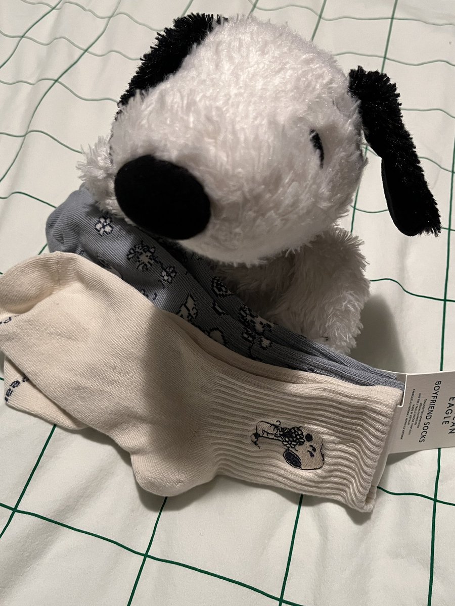 snoopy sister ♡ tweet media