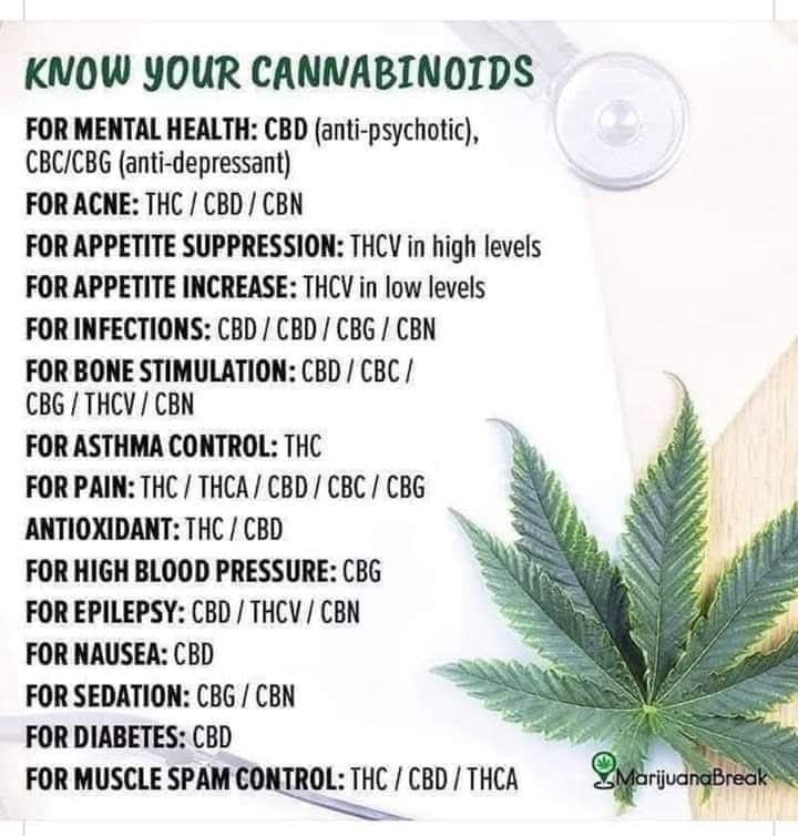CBDepot_'s tweet photo. The cannabis plant has over 120 cannabinoids all serving different purposes. When all together in a full spectrum product, you have what is called the Entourage effect. Multiple compounds working together, are always best. https://t.co/SoCXI2s9Ff
