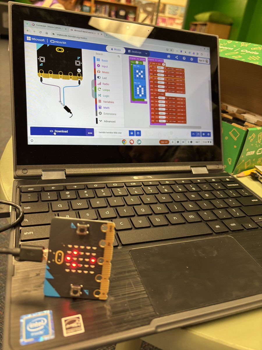 miss_k_hickman's tweet image. Students loved coding Twinkle Twinkle Little Star on @microbit_edu today! They used their Critical Thinking, Collaboration and Creativity skills to problem solve! #ocsbSTEAM @OCSB_LT @ocsbDL @StLukeNepean