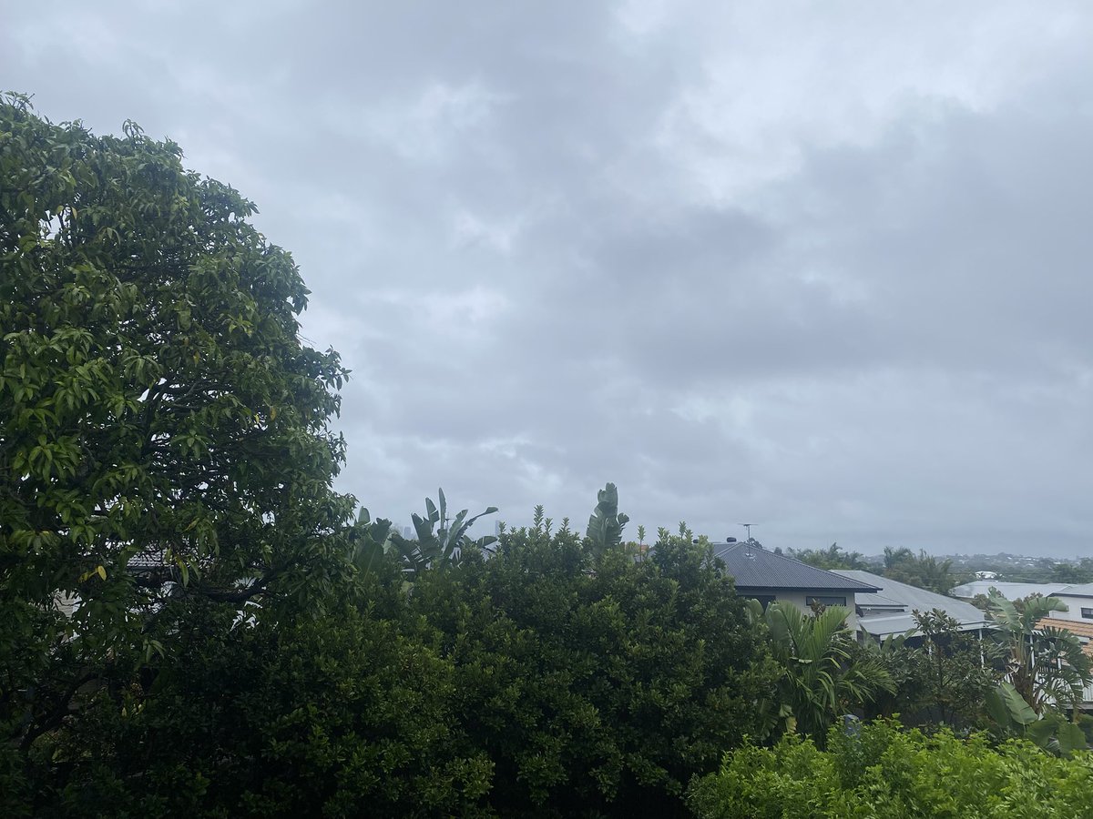 BowTiedStocks tweet media